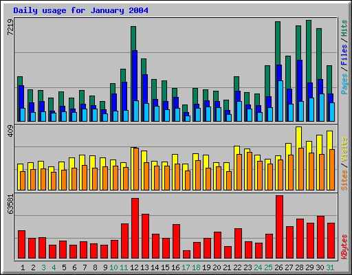 Daily usage for January 2004