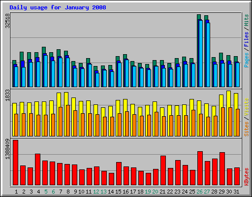 Daily usage for January 2008