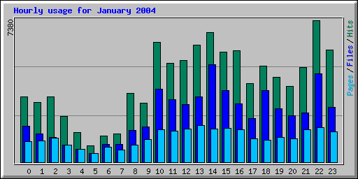 Hourly usage for January 2004