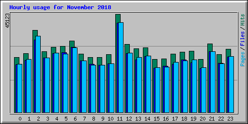 Hourly usage for November 2018