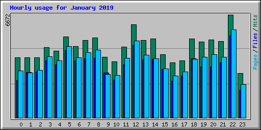 Hourly usage for January 2019